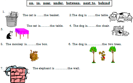 B)Resimlerde gösterilen hayvanların adlarını altlarına yazınız.