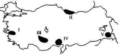 Türkiye'nin jeolojik yapısı göz önüne alındığında yukarıdaki haritada