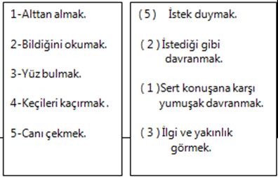 Turkce Dersi 4 Sinif 1 Donem 2 Yazili Y Sorulari 6 Cevap